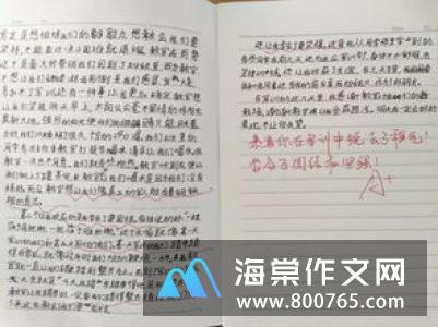 关于军训的初一作文800字