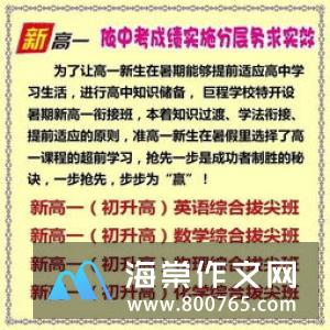 我的智慧校园的初一作文300字