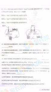 我真了不起的初一作文